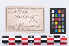 Etikett zu Eberzahnanhänger (NHMW-PRAE-035797)